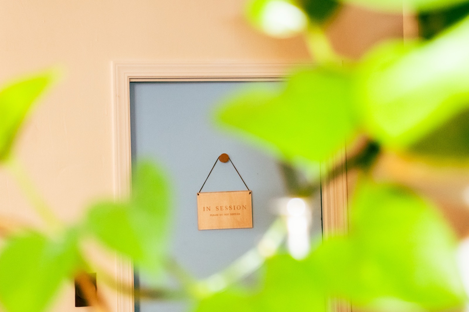 A small wooden sign reading "In Session, please do not disturb" hanging on a pale blue office door, photographed through the leaves of a houseplant.